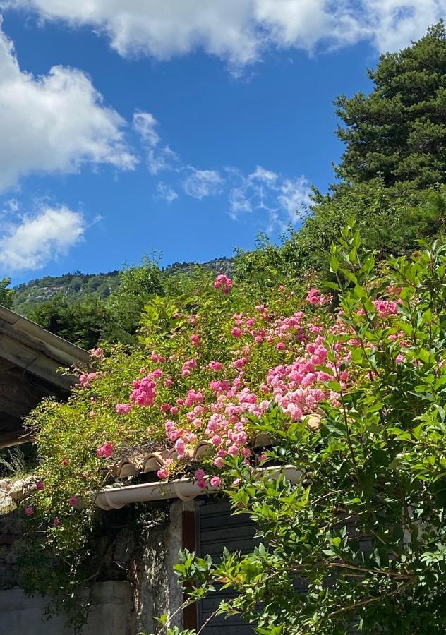 Les Merisiers B&B - Thorenc Andon 외부 사진